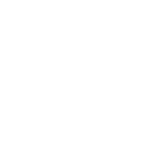 Albany FireWolves logo